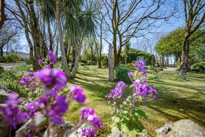 Property grounds - Rose Cottage, Holiday Cottage Lochvane, Nr Solva, Sleeps 4, 2 bedrooms, bathrooms (Solva)