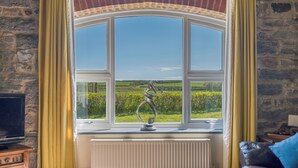 A room with a stone wall, a window with yellow curtains, a radiator, and a television on a wooden stand. - Silk Purse, Holiday Home Angle, Sleeps 4, 2 bedrooms,  bathrooms (Angle)