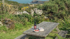 Una mesa de picnic de madera con una botella, copas de vino, fresas y un libro.