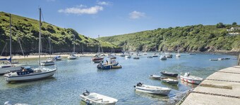 Ty Cranc, Holiday Cottage Solva, Sleeps 4, 2 bedrooms, bathrooms