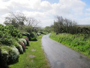 Una stretta strada di campagna circondata da fitta vegetazione e alberi, che si inoltra verso un orizzonte lontano.