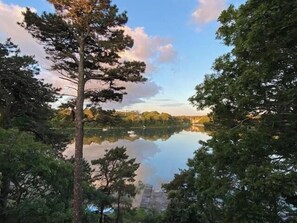 Un lago tranquilo rodeado de árboles frondosos, que refleja el cielo y las nubes.