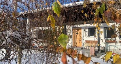 Apartment Mountainview Aschau im Chiemgau