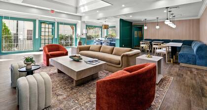 Newly Renovated Atlanta Gem Central Buckhead Apt