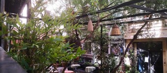 Gafa Garden Hostel & Apartments