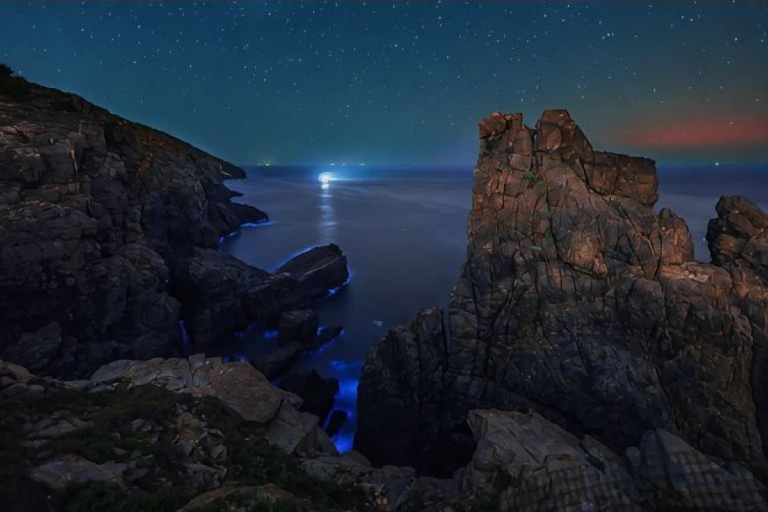 A coastal landscape with rocky formations and a starry night sky.