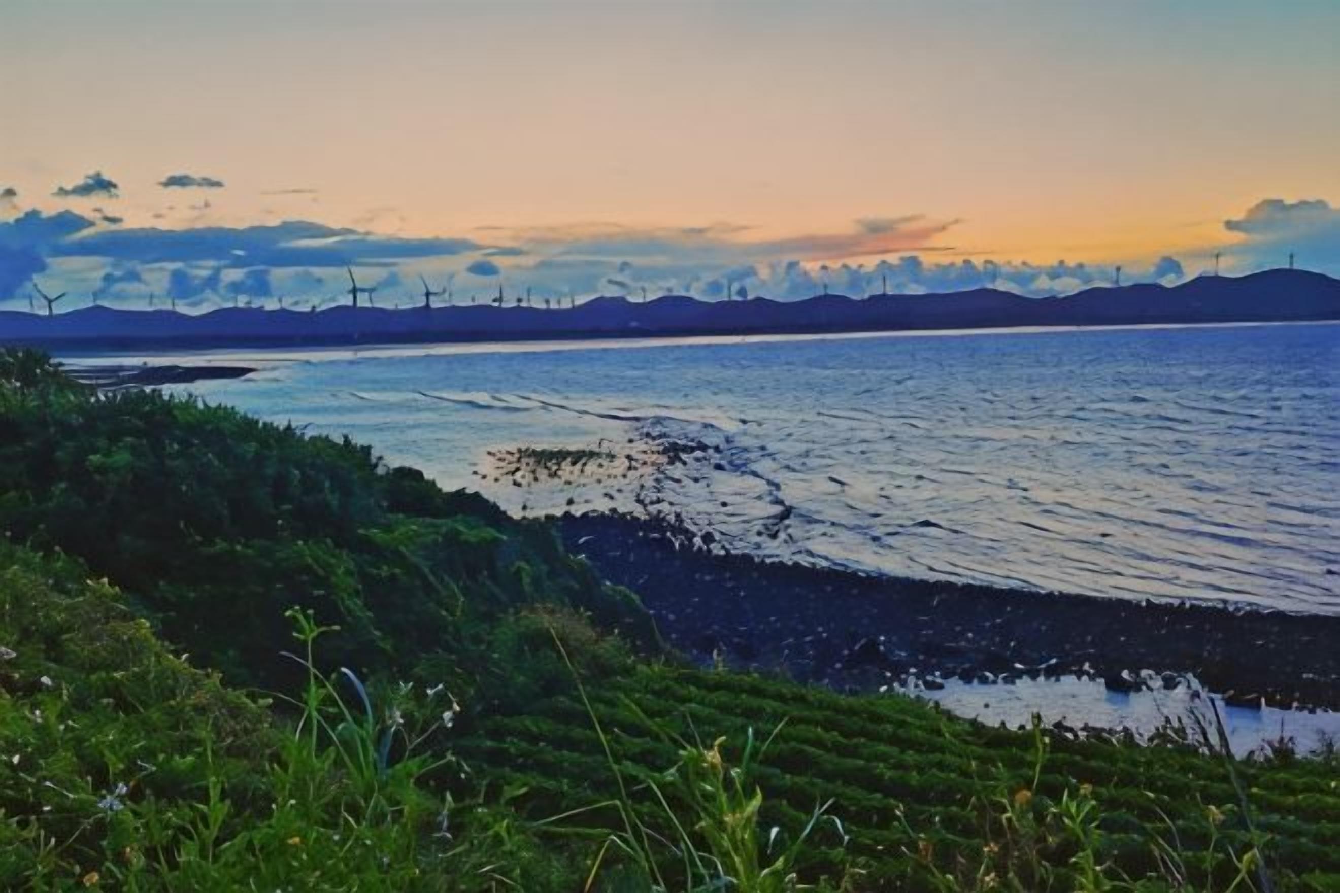 A coastal landscape with a body of water, vegetation, and distant wind turbines.
