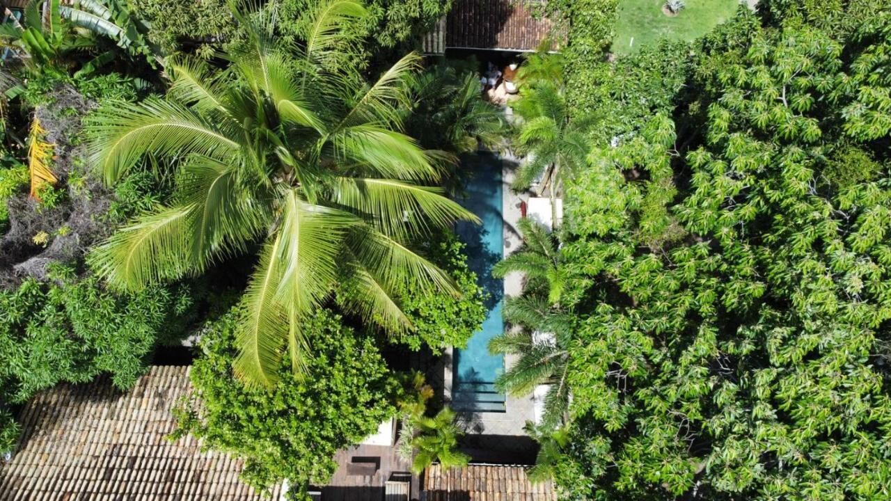 An aerial view of a resort with a swimming pool surrounded by lush greenery and palm trees.