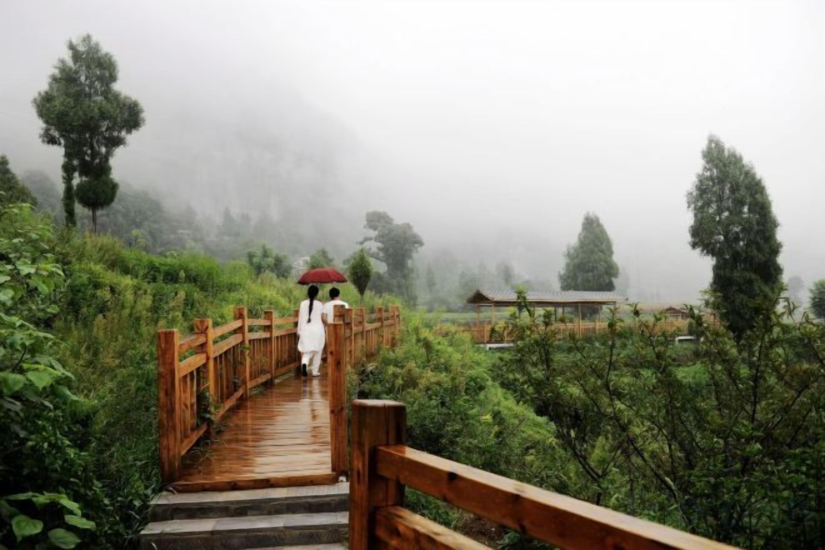 A wooden bridge in a misty, green landscape.