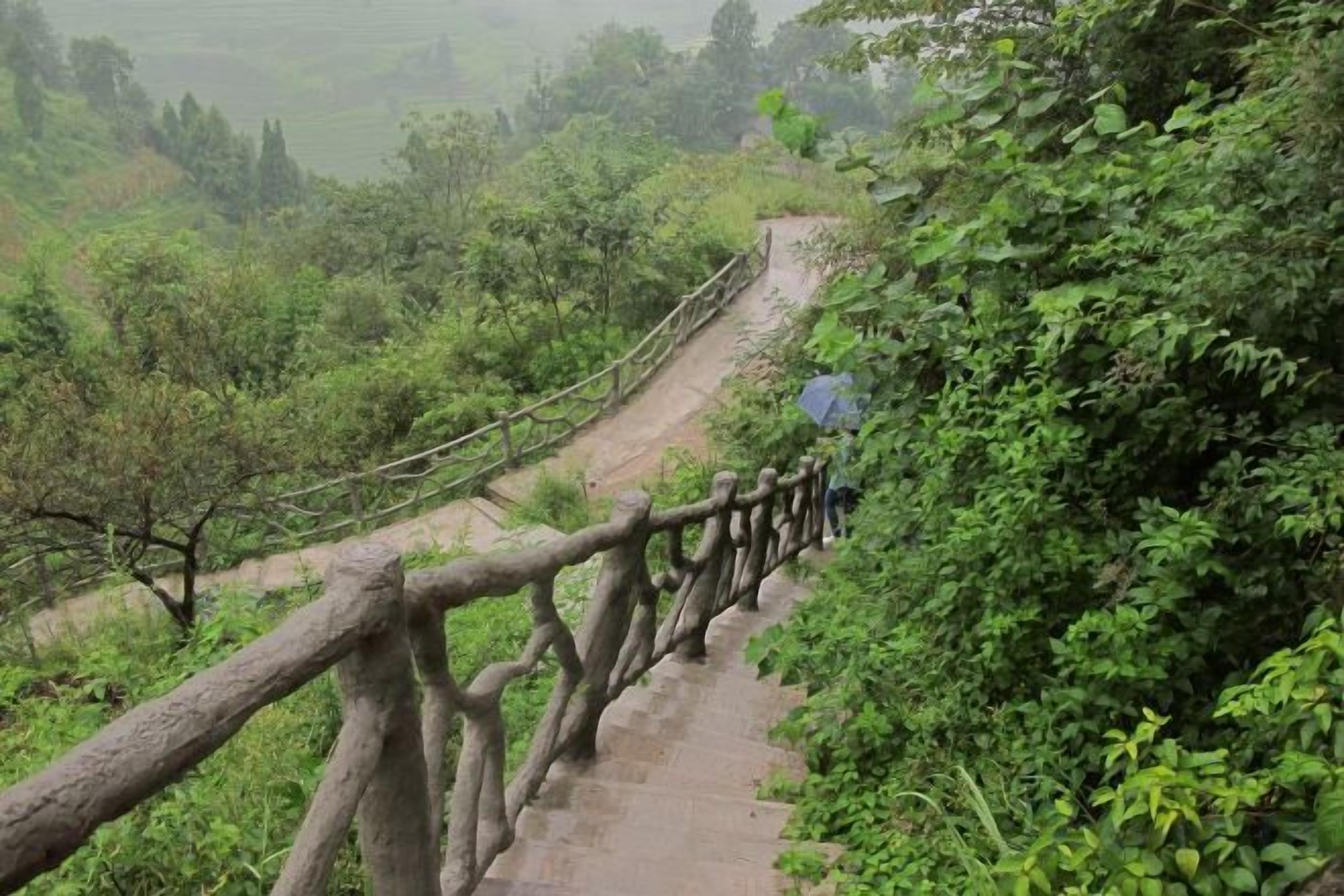 A wooden staircase with a handrail, surrounded by lush greenery.