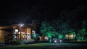 Una cabaña de madera con un porche, rodeada de árboles e iluminada con luces verdes.
