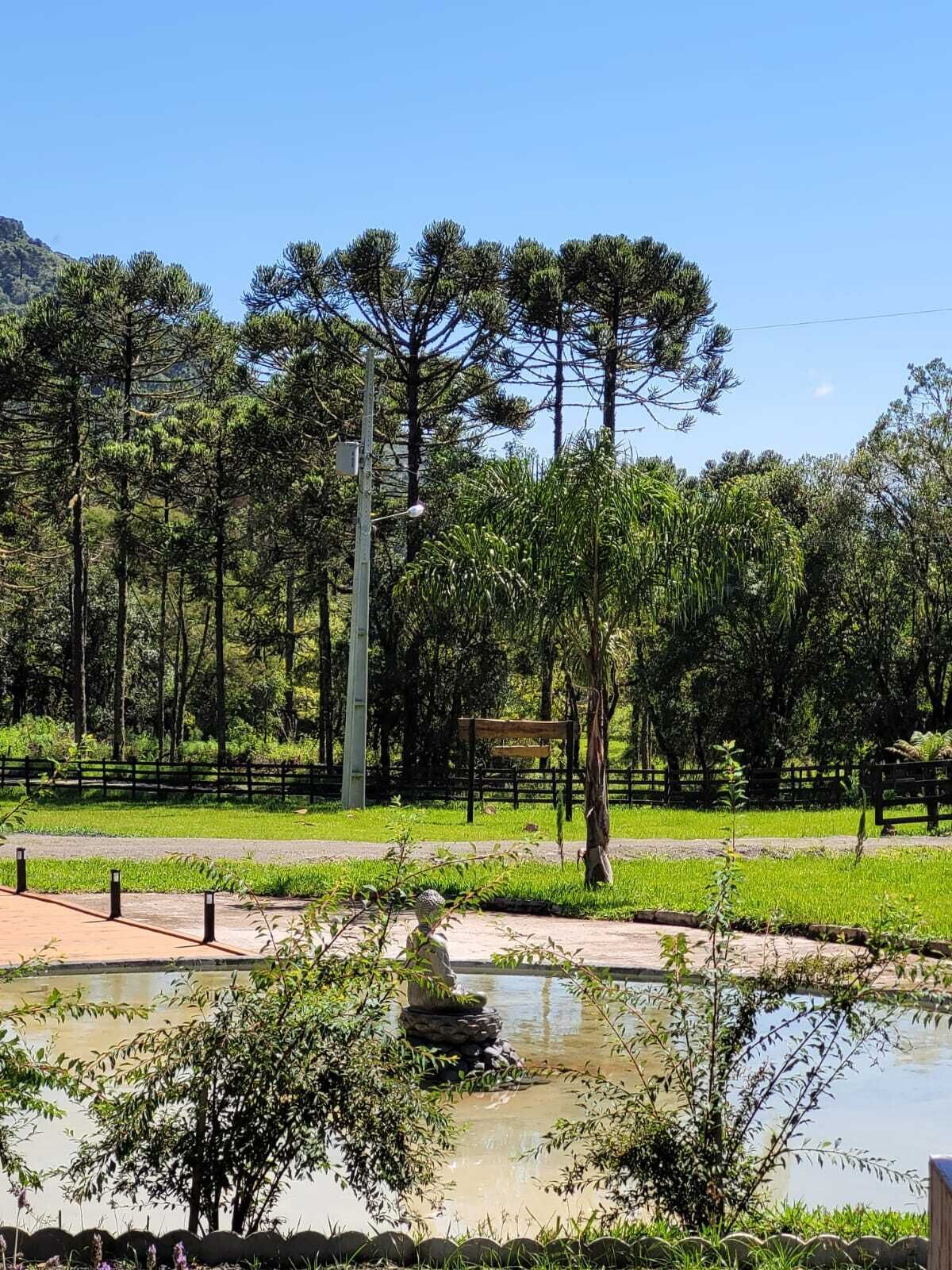 A park with a pond, benches, and a wooden fence.