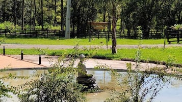 Um parque com lago, bancos e cerca de madeira.