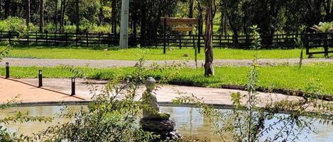 A park with a pond, benches, and a wooden fence.