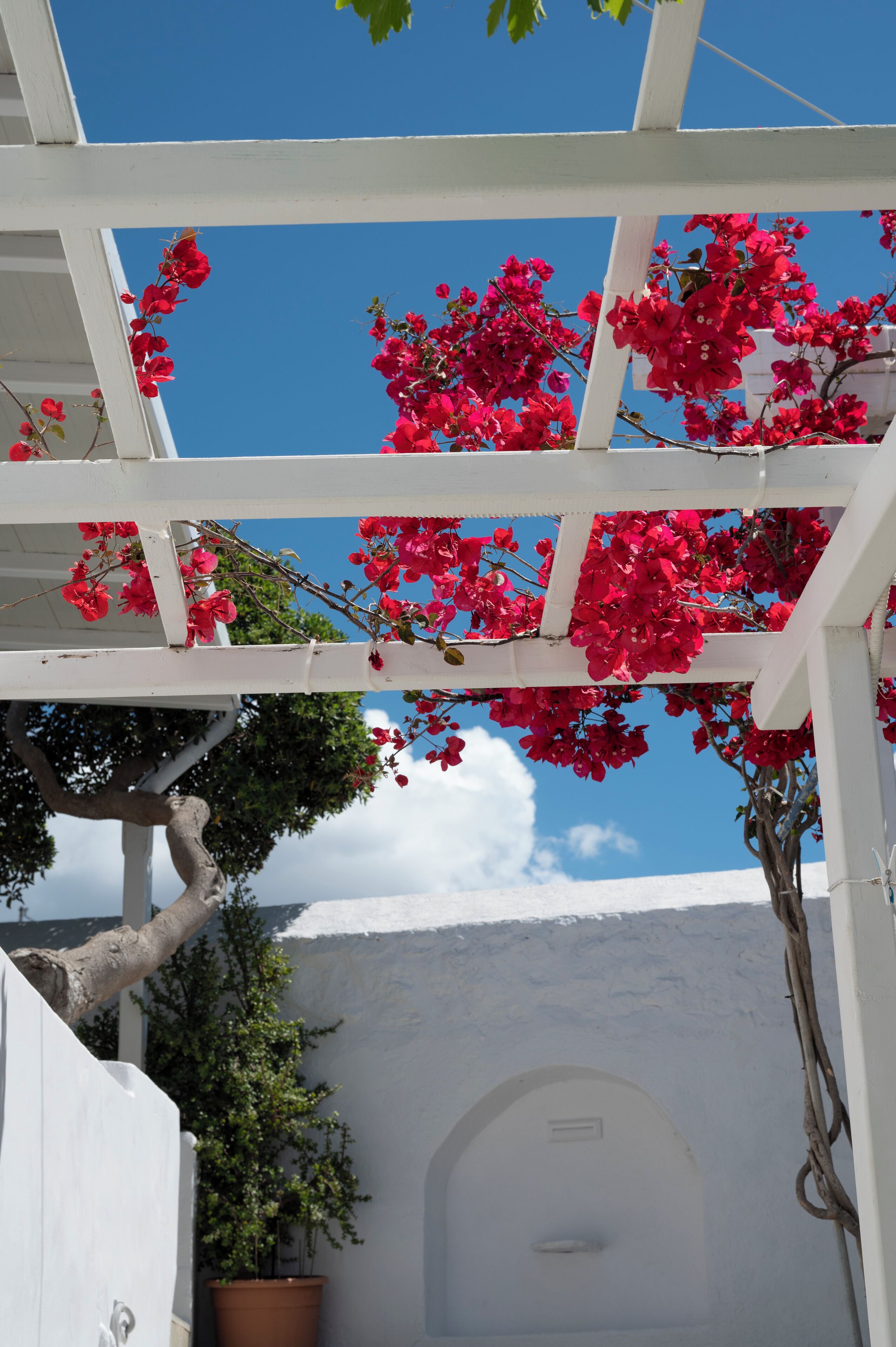 Photo - Boutique di Vito