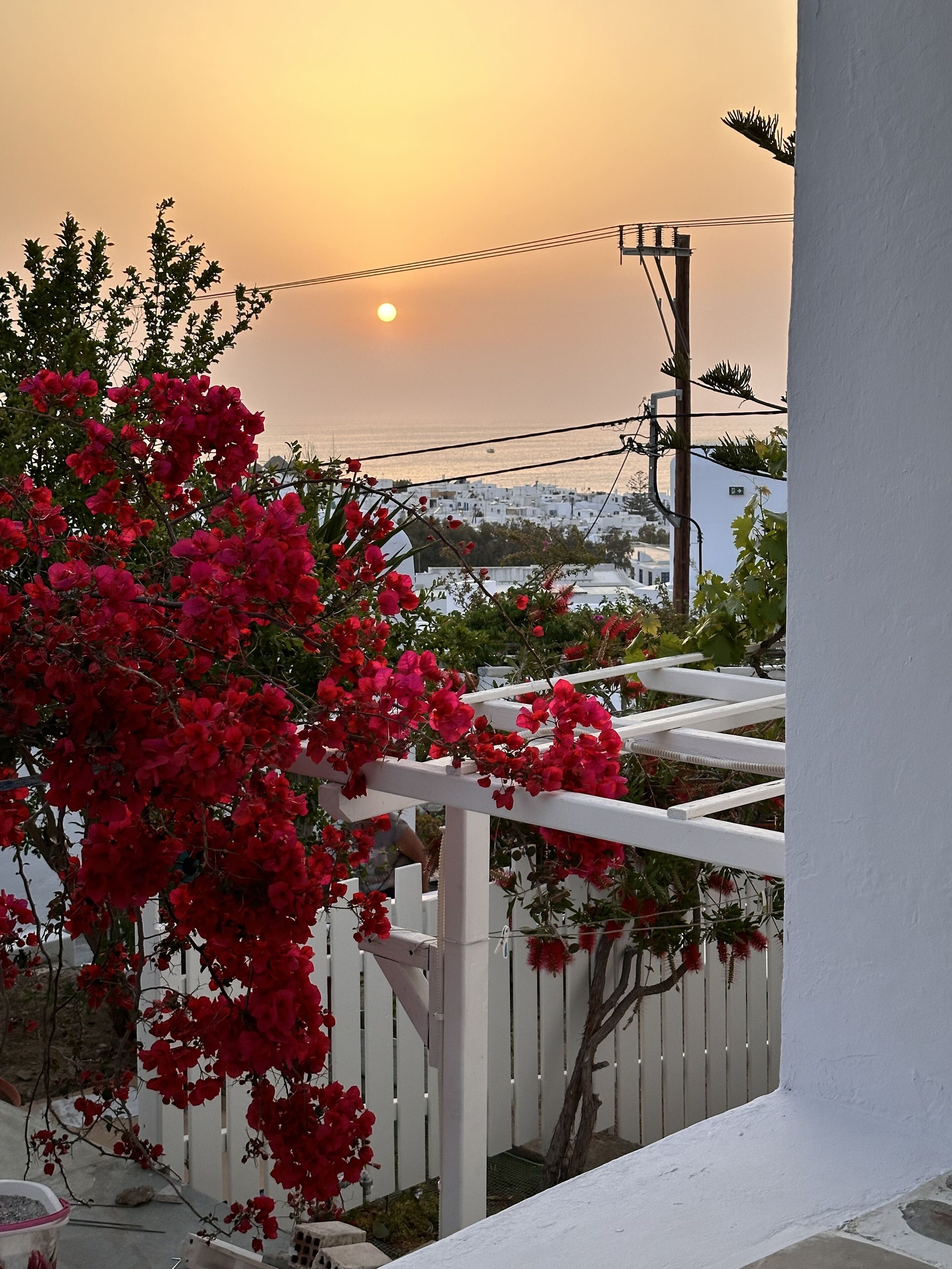 Photo - Boutique di Vito