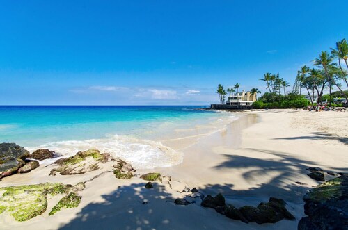 White Sands Village#206: Beachfront, Ocean Views, Elevator, No Stairs!