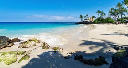 White Sands Village#206: Beachfront, Ocean Views, Elevator, No Stairs!