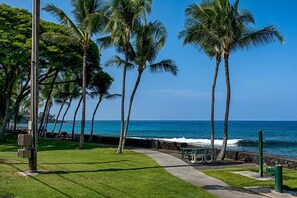 Property grounds - White Sands Village#206: Beachfront, Ocean Views, Elevator, No Stairs! (Kailua Kona)