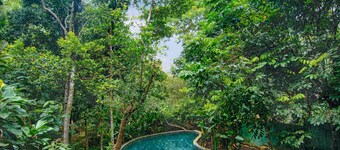 Wild Nest Villa | Modern 2 Bedrooms Villa with a Private Pool