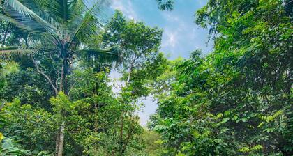 Wild Nest Villa | Modern 2 Bedrooms Villa with a Private Pool