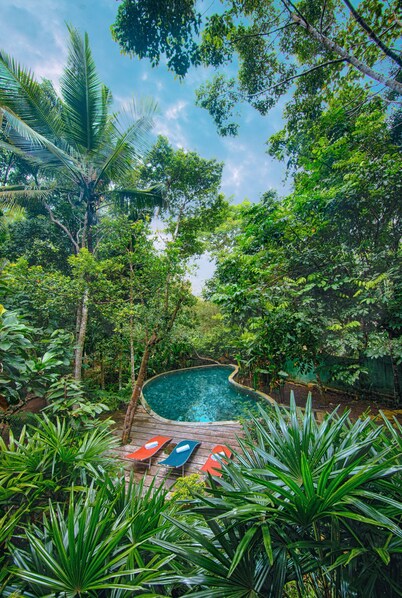 Wild Nest Villa | Modern 2 Bedrooms Villa with a Private Pool