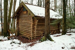 Een houten hutje in een besneeuwd bos.
