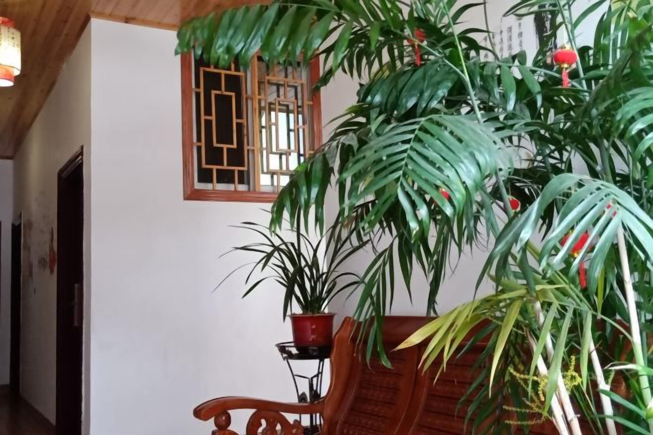 Quarto com um banco de madeira, uma planta em vaso e uma janela com grade decorativa.