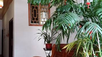 Quarto com um banco de madeira, uma planta em vaso e uma janela com grade decorativa.