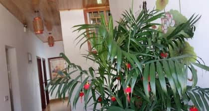 Yunshuiyao Yunshui Guest House