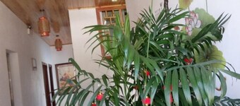 Yunshuiyao Yunshui Guest House