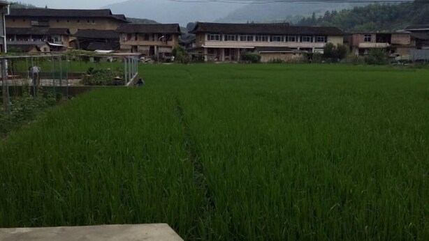 A rural village with traditional houses and a rice field. - Yunshuiyao Yunshui Guest House (Nanjing County)
