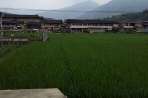 Khuôn viên nơi lưu trú