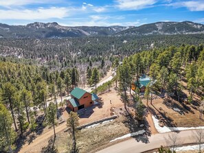Une cabane isolée, dotée d’un toit végétalisé, entourée d’une forêt dense et avec des montagnes en arrière-plan.