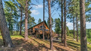 Une cabane avec une façade en bois, plusieurs terrasses et une forêt environnante.