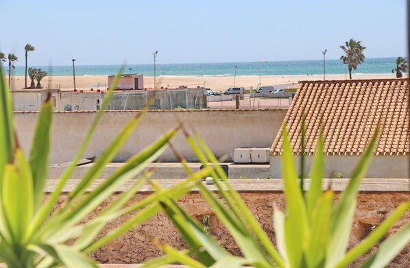 Blick auf einen Strand mit einer Betonmauer, Palmen und einem Ziegeldach im Vordergrund.