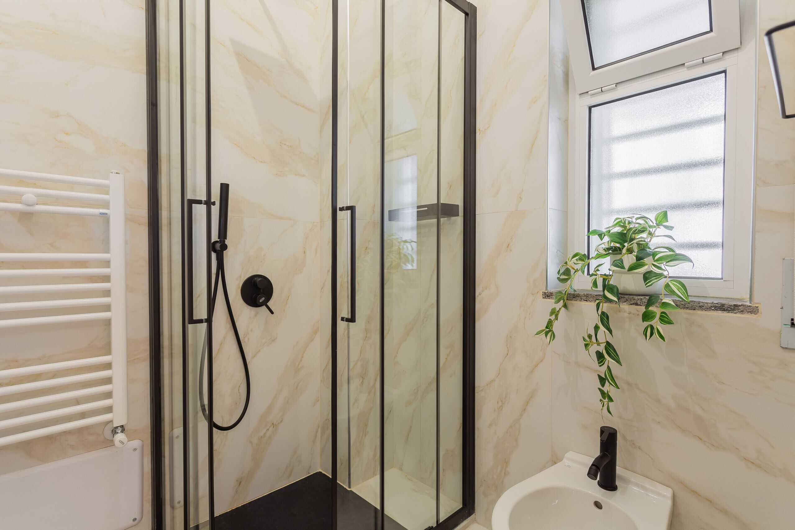 Shower, hair dryer, bidet, towels