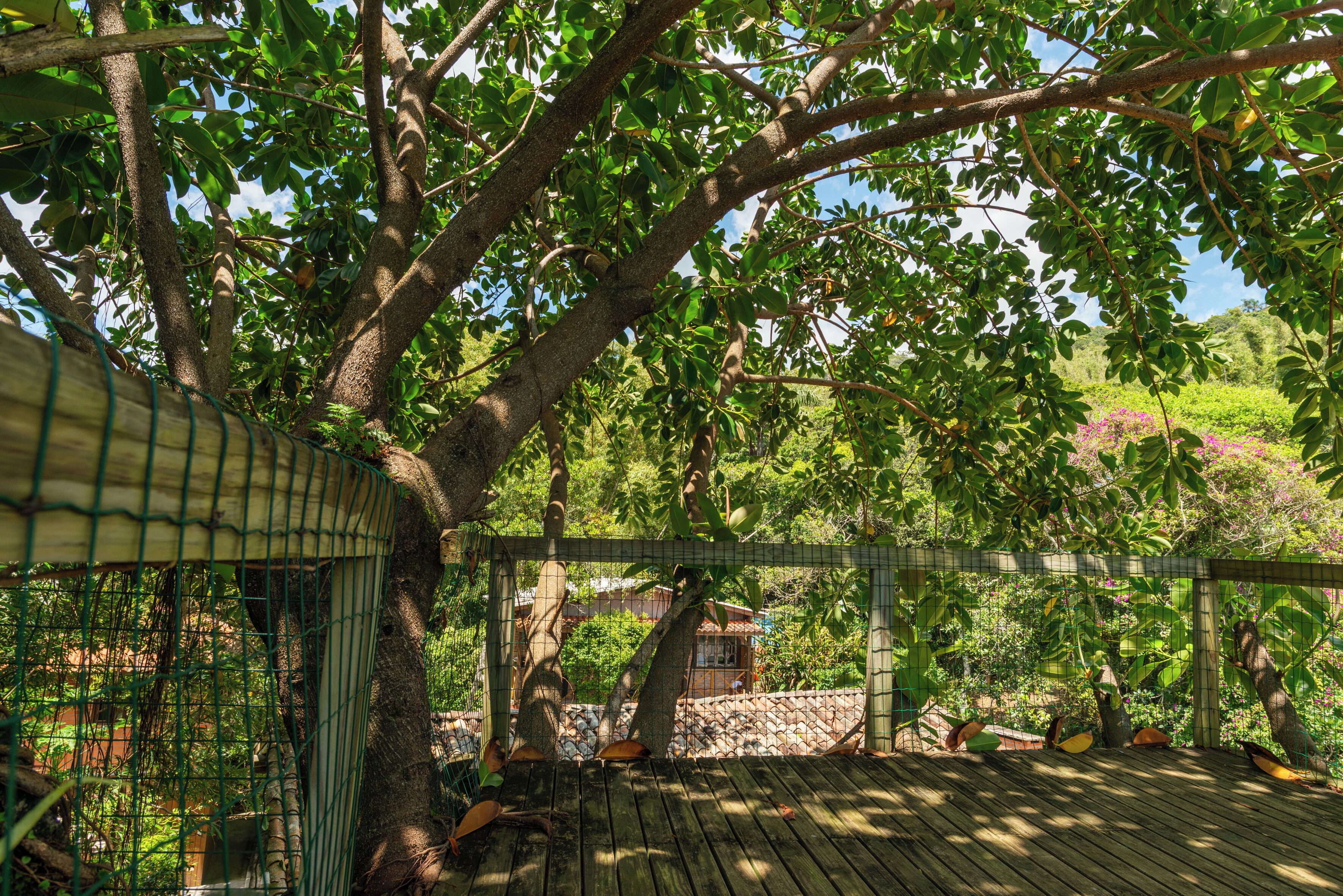 Una terraza de madera con valla de malla verde, rodeada de abundante vegetación y árboles.