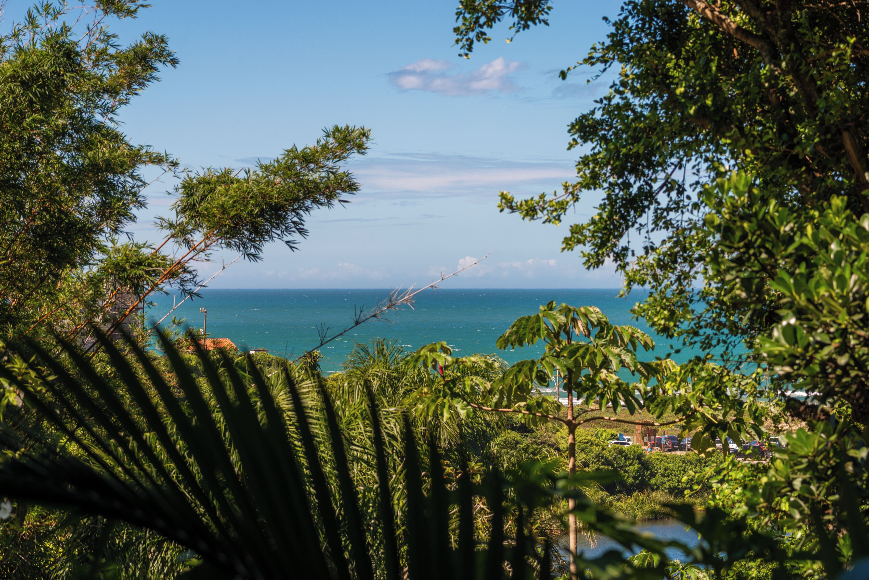 Vista costeira com vegetação densa e mar aberto.