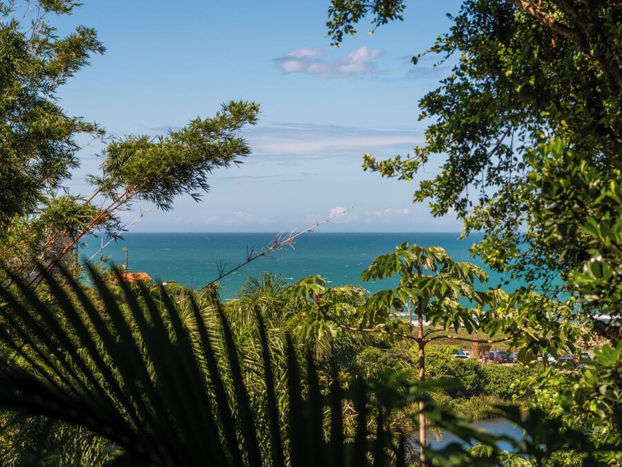 Vista costeira com vegetação densa e mar aberto.