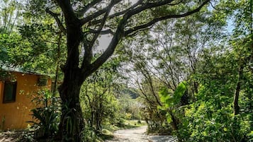 Hiking