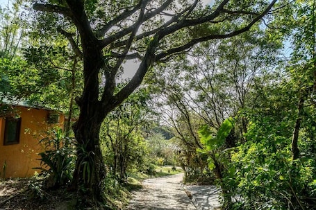 Caminatas