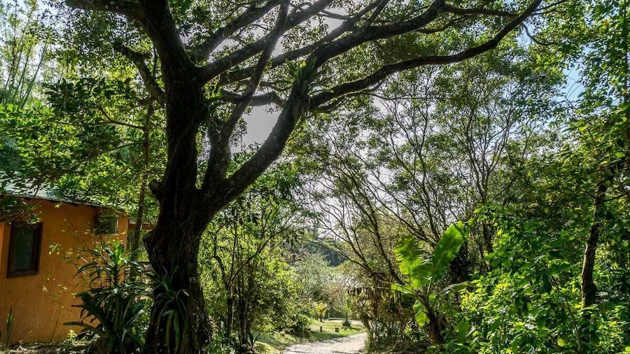 Coração da Terra Praia do Rosa