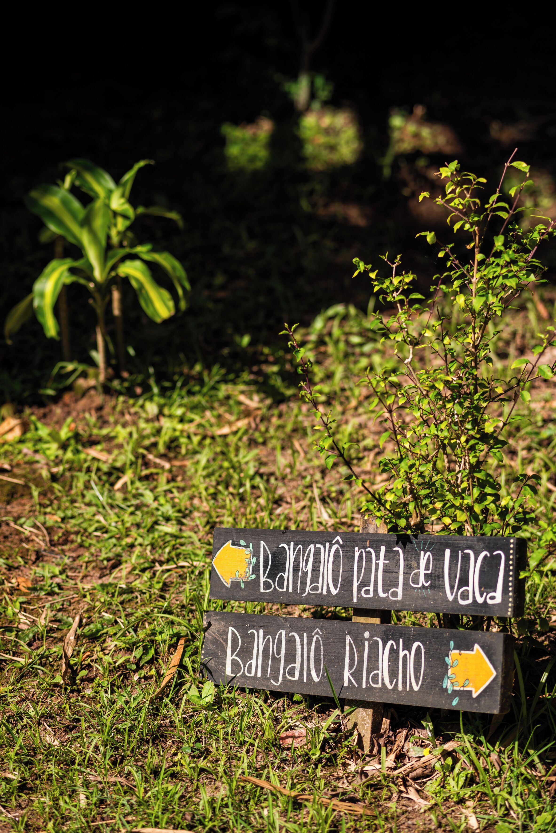 A directional sign with arrows pointing to 'Bañado Patia de Vaca' and 'Bañado Riacho'.