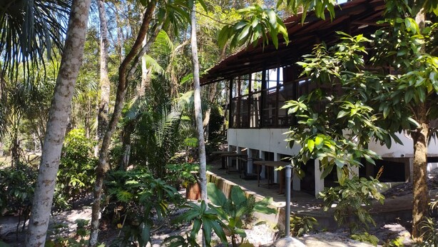 Un edificio rodeado de exuberante follaje tropical, con fachada blanca y grandes ventanales.