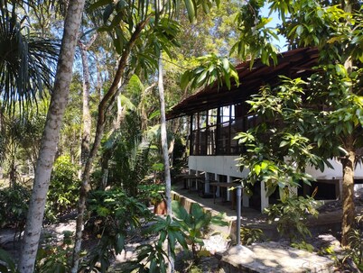 Amazon Lodge Varillal 度假村
