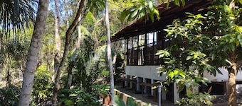 Amazon Lodge Varillal
