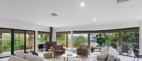 Télévision, cheminée, lecteur de DVD, livres