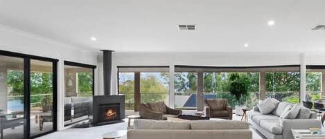 Télévision, cheminée, lecteur de DVD, livres