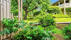 Un jardin luxuriant, agrémenté de plantes tropicales, une pergola en bois et un bâtiment doté d’un balcon.